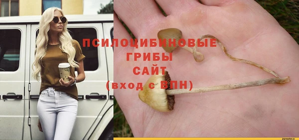 твердый Бронницы