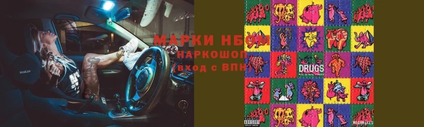шишки Верея