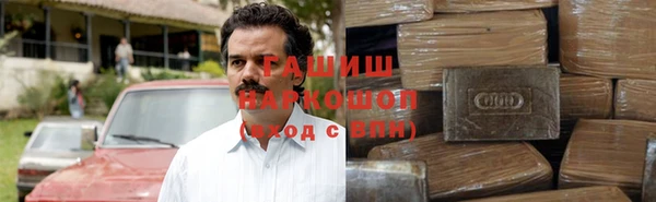 шишки Верея