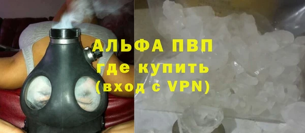 молекула духа Бородино