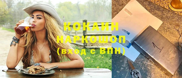 молекула духа Бородино