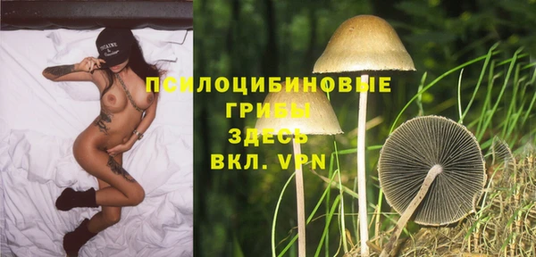 молекула духа Бородино