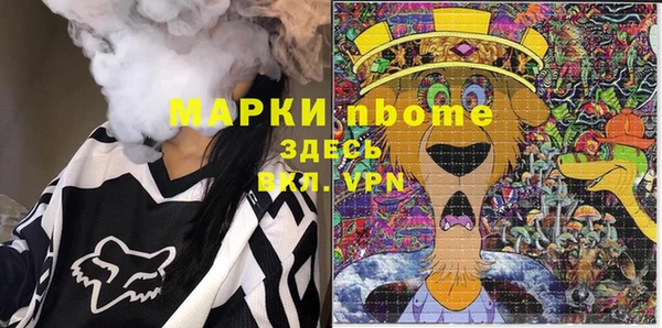 молекула духа Бородино