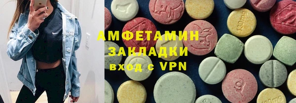 молекула духа Бородино